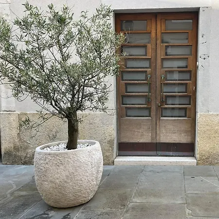 Magnolia