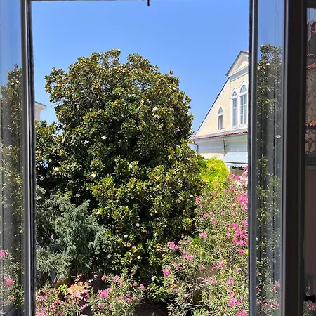 Magnolia Apartment