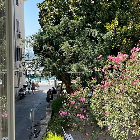 Magnolia Apartment